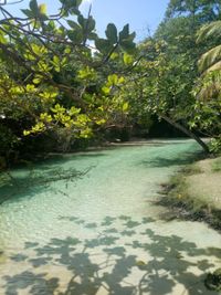 Port Antonio Tour Frenchmens Cove